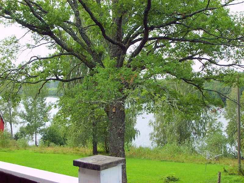 Galeriebild Anglerpension Furusjön  in Dalsland