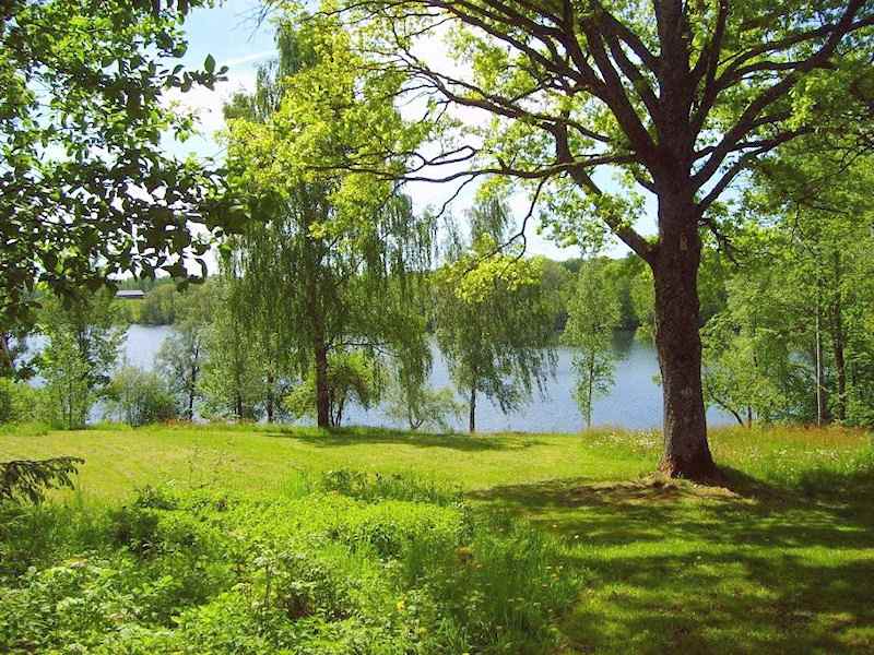 Galeriebild Anglerpension Furusjön  in Dalsland