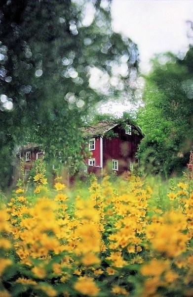 Galeriebild Anglerpension Furusjön  in Dalsland