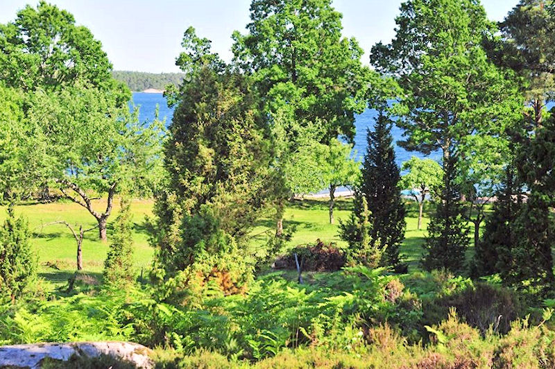 Galeriebild Trauminsellage im Ostsee Skärgård vor der kleinen Küstenstadt Västervik