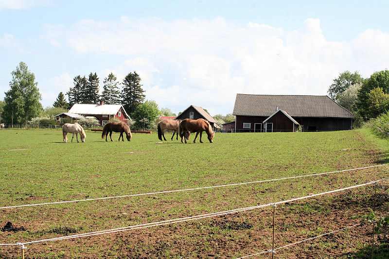 Galeriebild Solberga - Toller Pferdehof auf dem Lande mit insgesamt 18 ha Wiesen- u. Weidenareal