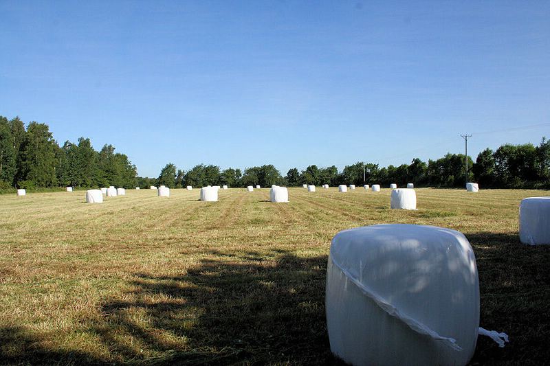 Galeriebild Solberga - Toller Pferdehof auf dem Lande mit insgesamt 18 ha Wiesen- u. Weidenareal