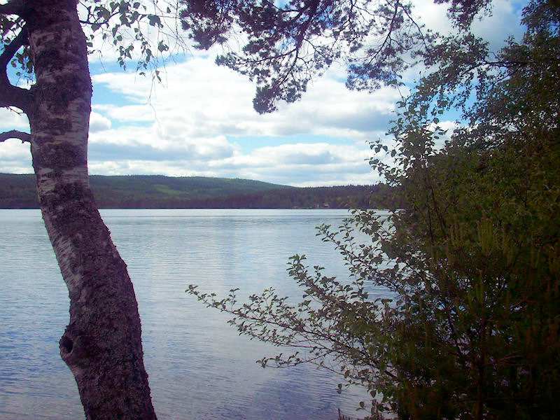 Beeindruckende Natur. Blick vom Grundstück auf den See. Pure Tiefenentspannung garantiert Galeriebild Lövneset 84