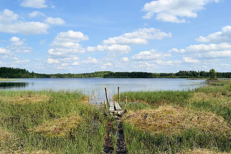 Der See liegt nur ca. 90 m vom Haus entfernt. Keine unmittelbaren Nachbarn! Galeriebild "Rustabo" am schönen See Jansbergssjön. Willkommen im Naturparadies Halland
