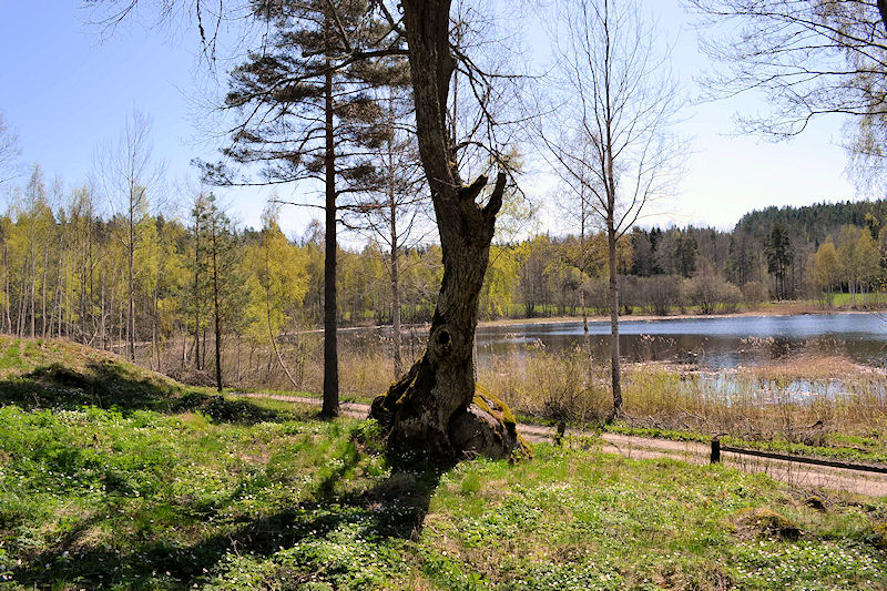 ....ist dieser magische Platz der richtige Ort in Schweden für Sie? Wenn ja, dann unbedingt zu einer Besichtigung kommen! Galeriebild Sie wollen sich einen Smålandtraum verwirklichen mit Haus und Paradies? Bitte sehr, hier können Sie es!
