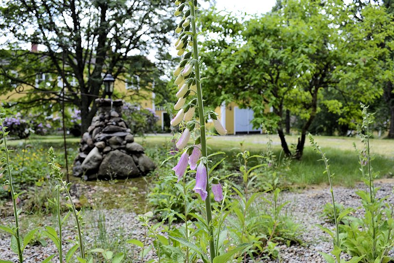 ....auf dem schönen kleinen Parkgrundstück des Anwesens. Kommen Sie, Sie werden staunen...! Galeriebild Lönashults Herrenhaus heißt Sie und Ihre Familie ganz herzlich willkommen. Ein magisches Immobilienangebot erwartet Sie!