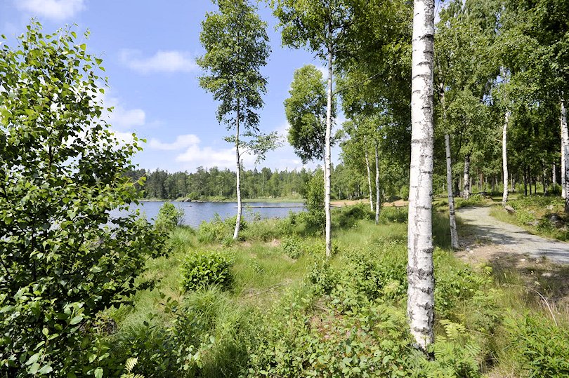 Nur 2 km vom Anwesen entfernt liegt der beeindruckende See Övden.... Galeriebild Lönashults Herrenhaus heißt Sie und Ihre Familie ganz herzlich willkommen. Ein magisches Immobilienangebot erwartet Sie!