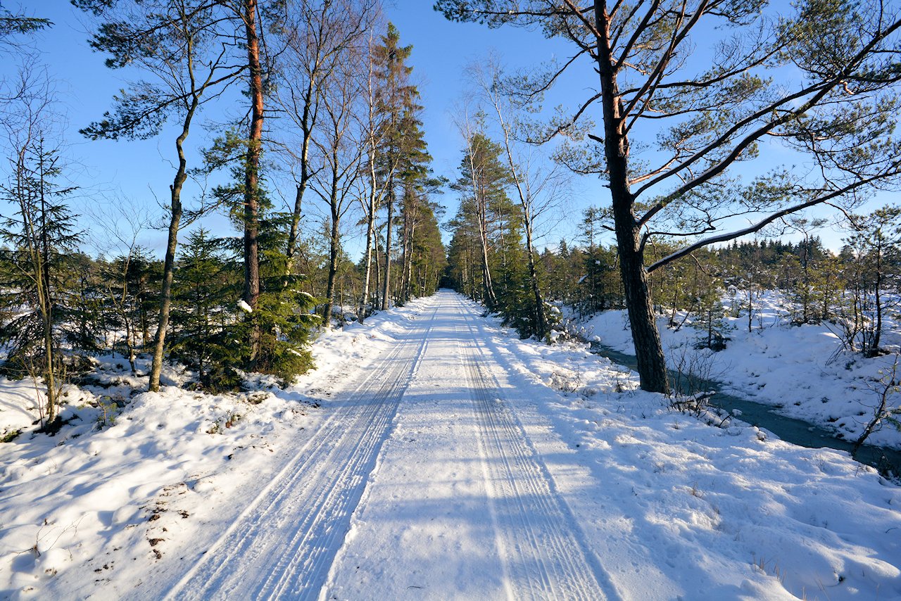 Anfahrt zur Immobilie über den ca. 1,3 km langen Waldweg als Abzweiger von einer Landstraße. Hier geht es ruhig zu....! Galeriebild Vattumosse - großzügiges Wohnhaus in Sonnenscheinlage und traumhaft schöner Natureinbindung. Seenähe!
