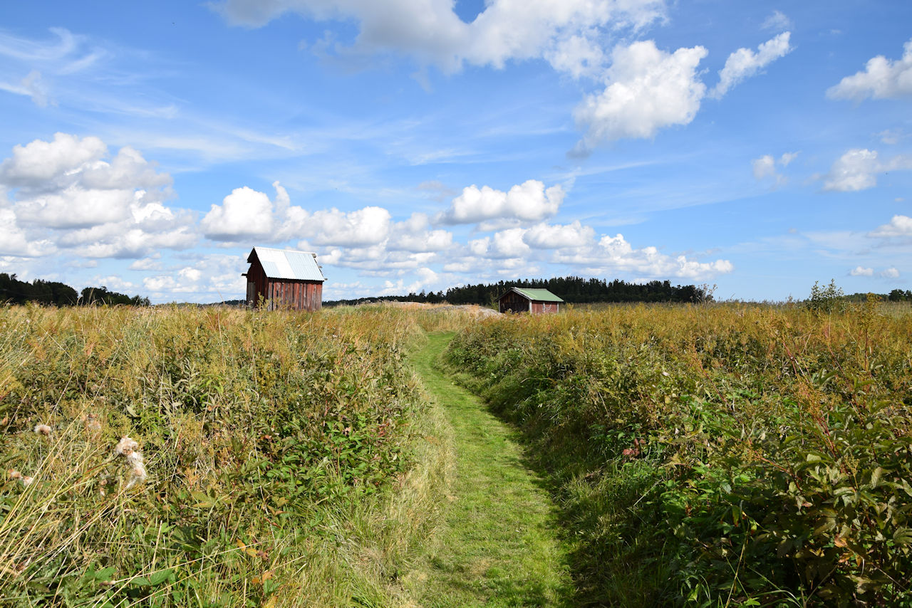 ....über den frei geschnittenen Naturweg.... Galeriebild Paukenschlag am beeindruckendenn Schärengarten von St. Anna / Söderköping / Ostseeküstenlage, südlich von Stockholm