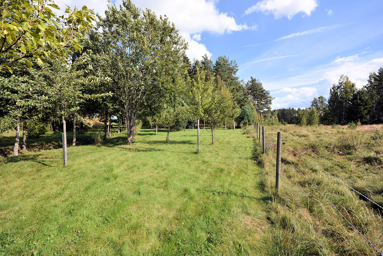 Grundstücksgrenze in Richtung Ostsee Galeriebild Paukenschlag am beeindruckendenn Schärengarten von St. Anna / Söderköping / Ostseeküstenlage, südlich von Stockholm