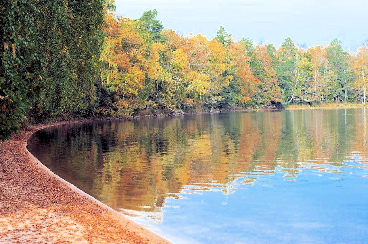 Ungewöhnlich anders! Mit Frühling-, Sommer-, Herbst- und Winterverwöhngarantie Galeriebild Paukenschlag am See Helgasjön! Neubauchance für Top-Villa auf Top-Seegrundstück in der historischen Provinz Småland