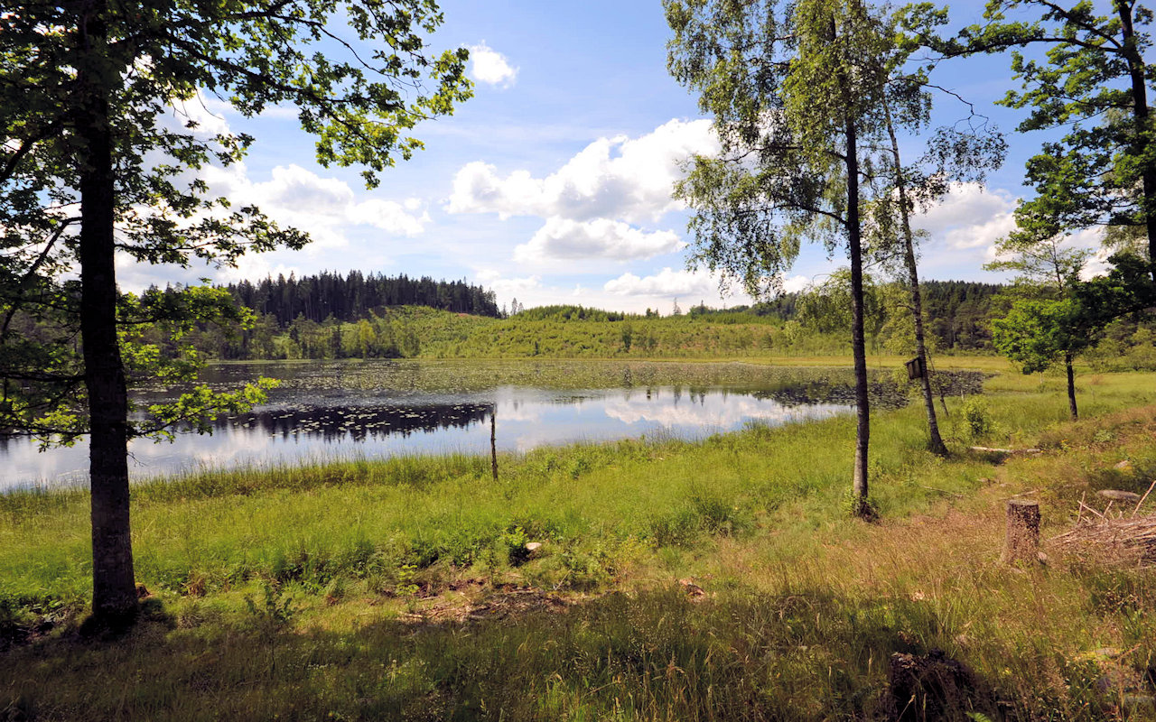 Umgebung - so schöööön...... Galeriebild Wohnhaus nahe Fluss Ätran in der halländischen Schweiz / Südschweden
