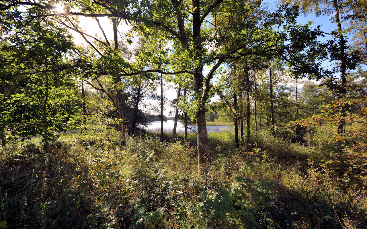 ....in einem sehr idyllischen Bereich der Provinz Halland. Der See "Björsjö" ist in wenigen Minuten vom Haus aus erreichbar.... Galeriebild Glückstag für Auswandererfamilien! In der geschätzten Westküstenprovinz Halland wartet das Traumanwesen "Ulvvad" auf Sie!