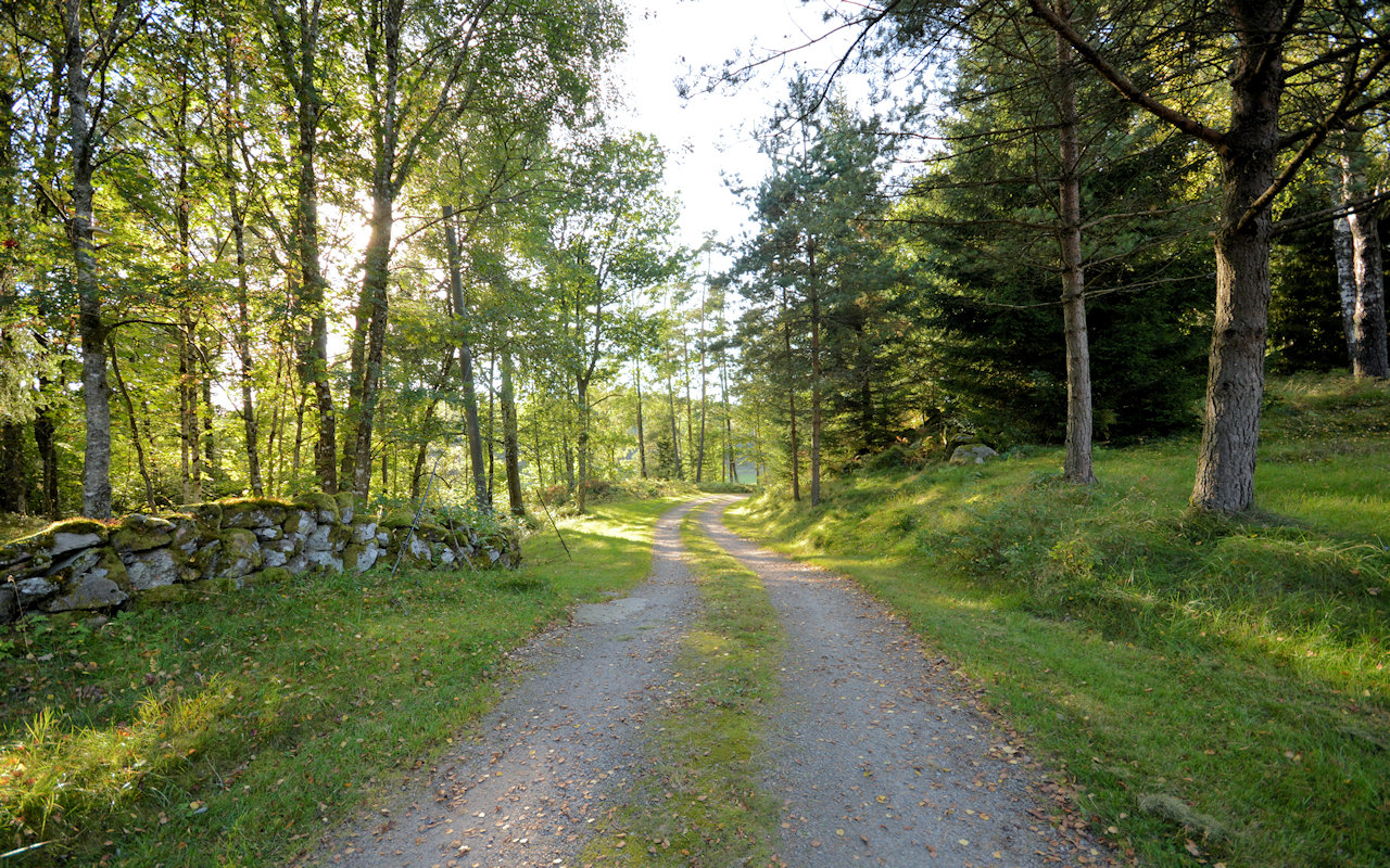 ....mit dem Wegabschwung vom eigenen Gelände in Richtung Dorf "Källsjö" - Entfernung ca. 1,5 km Galeriebild Glückstag für Auswandererfamilien! In der geschätzten Westküstenprovinz Halland wartet das Traumanwesen "Ulvvad" auf Sie!