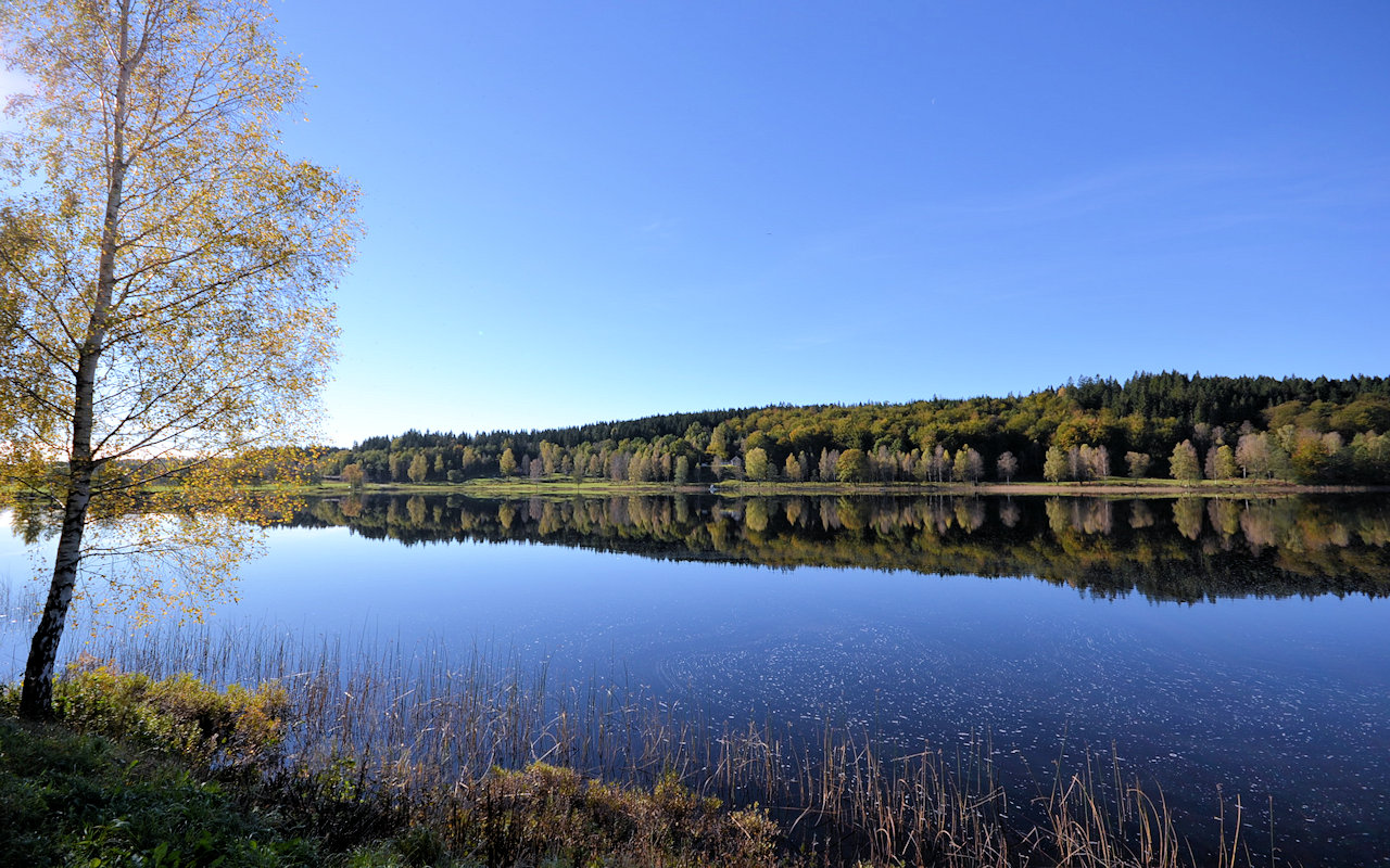 Auszeit zum Durchatmen, Innehalten, Sortieren und Energietanken nehmen! Und ein neuer Mensch werden - in Schweden Galeriebild Glückstag für Auswandererfamilien! In der geschätzten Westküstenprovinz Halland wartet das Traumanwesen "Ulvvad" auf Sie!