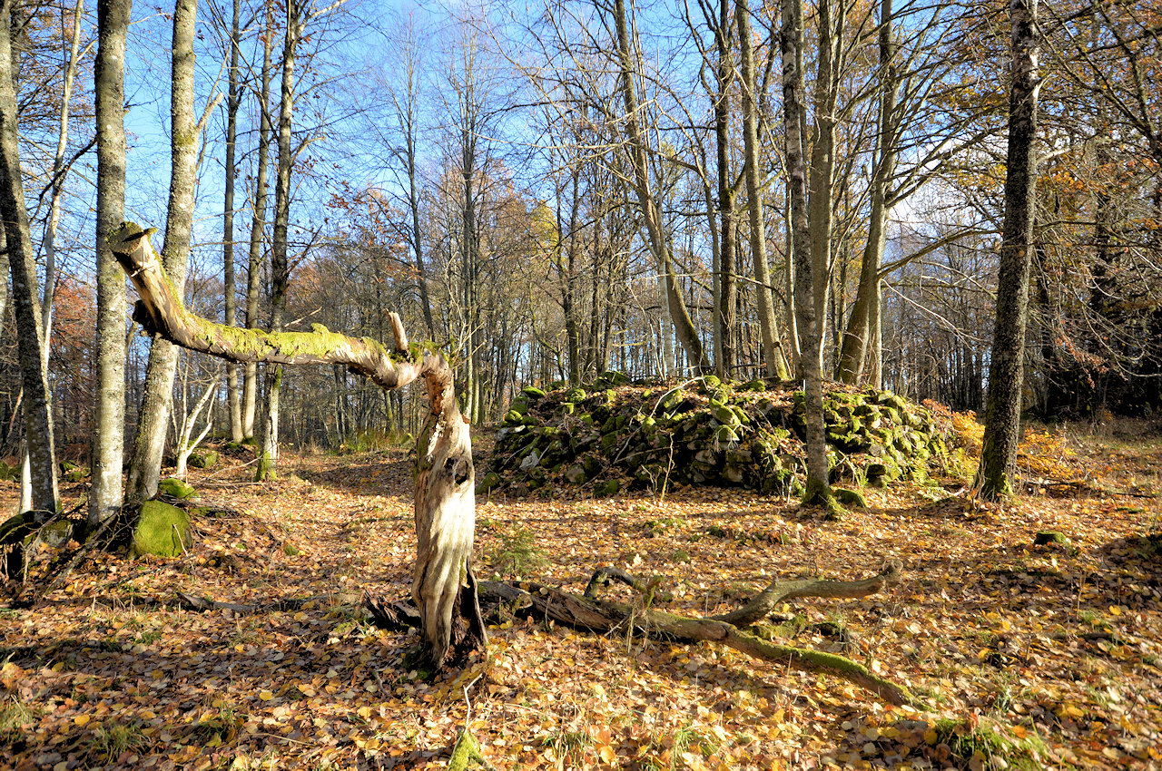 Die Umgebung des Anwesens beeindruckt durch eine fantastische Naturvielfalt Galeriebild Weiler Hult - nahe Unnaryd / Halland. Wir sollten nie aufhören nach dem weltlichen Paradies zu greifen. Hier ist es...!