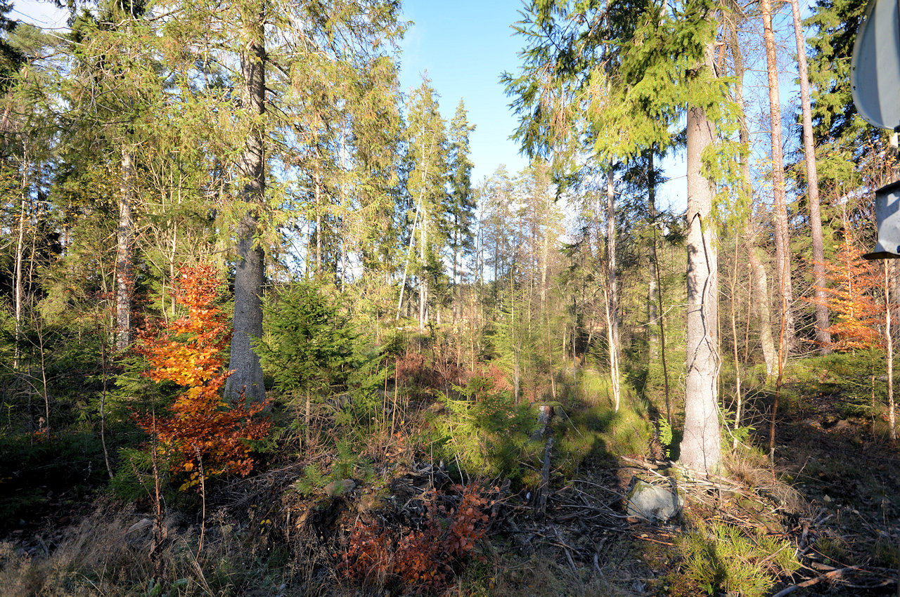 ....und Wildheit in diesem riesigen Abschnitt Südschwedens Galeriebild Weiler Hult - nahe Unnaryd / Halland. Wir sollten nie aufhören nach dem weltlichen Paradies zu greifen. Hier ist es...!