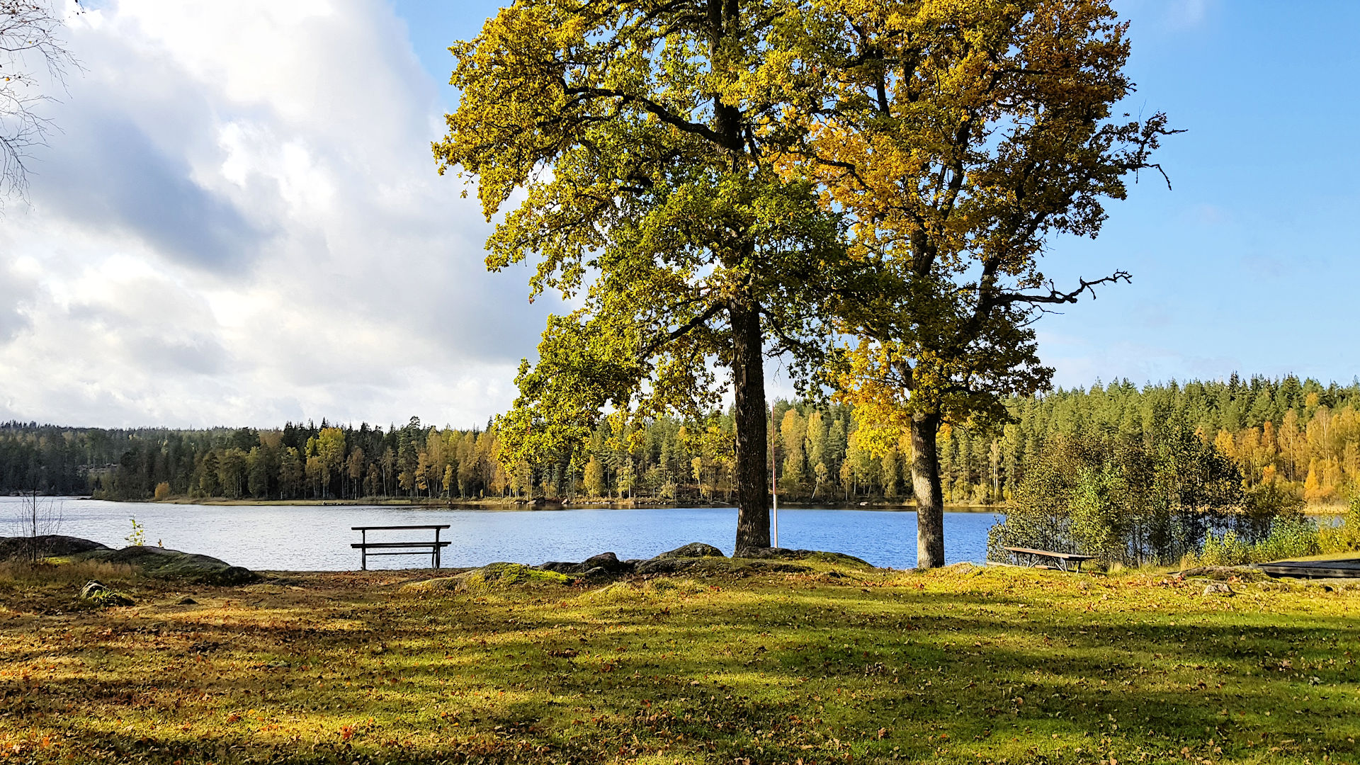 Mit Schwung in den Herbst - die schönste Jahreszeit in SĂŒdschweden! Herbstzeit