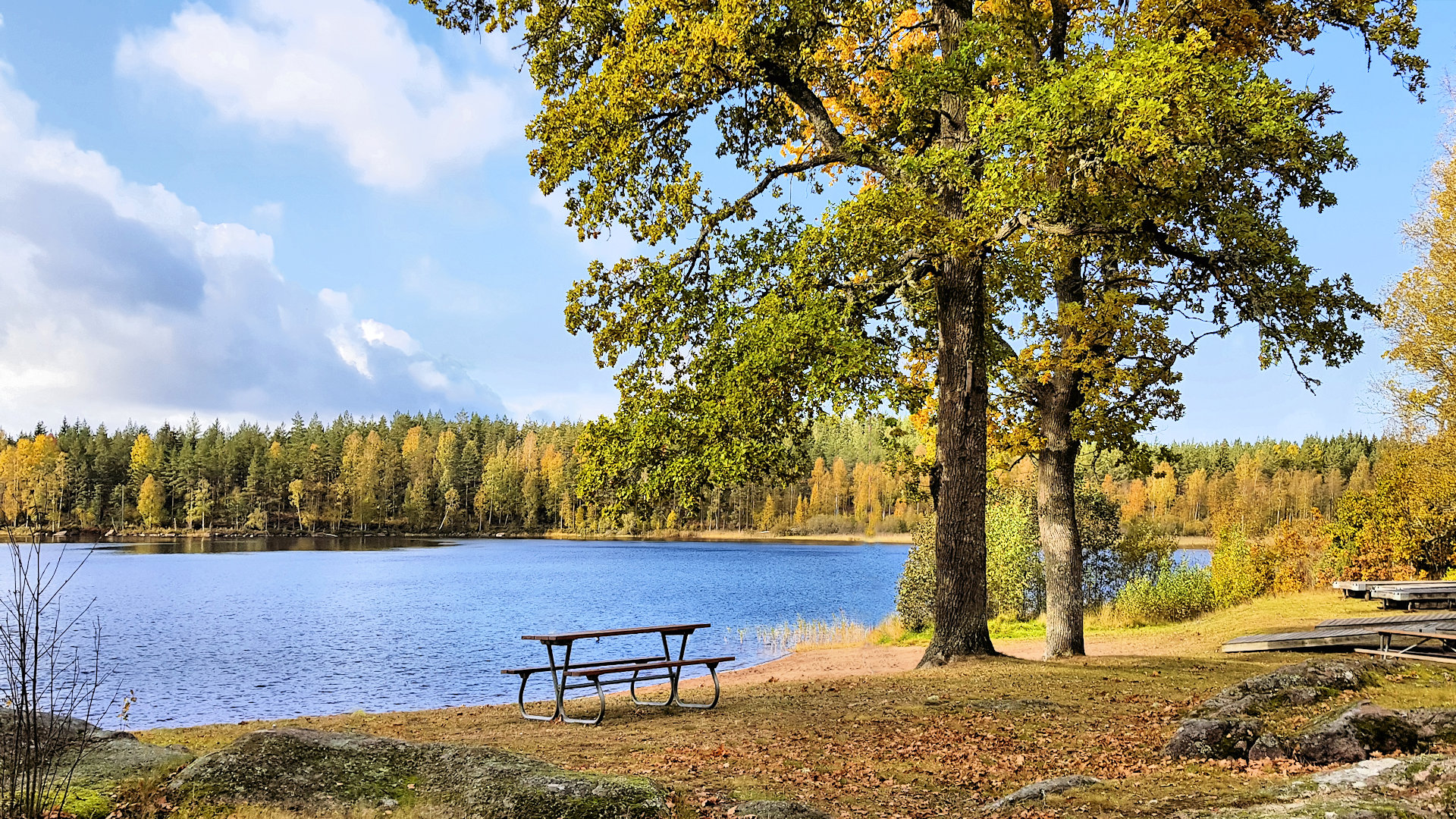 ....und diesem herrlichen Bade- u. Angelsee in der NĂ€he des Anwesens Bade-u. Angelsee Ramsen