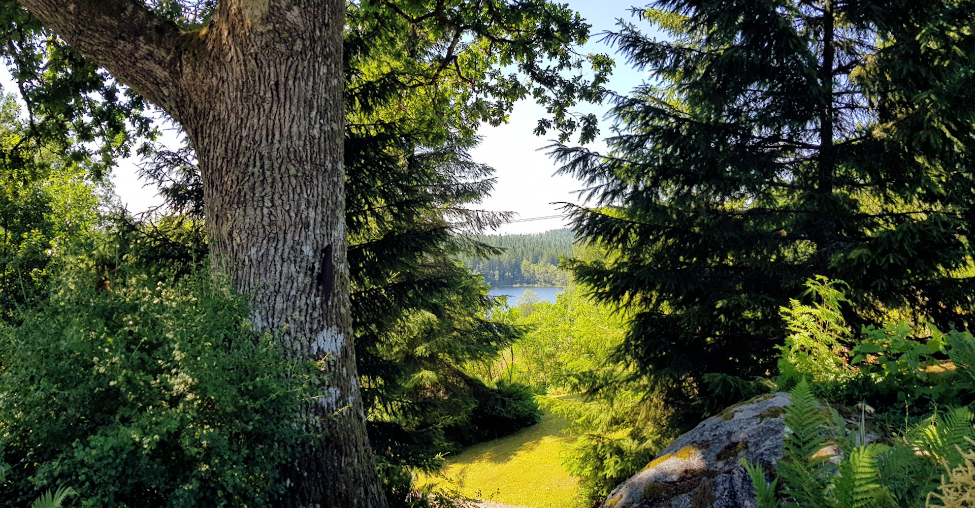 Bitte sehr, das Ferienhaus liegt in wildromantischer Hanglage mit kleinem Seeblick Ängasjö 2