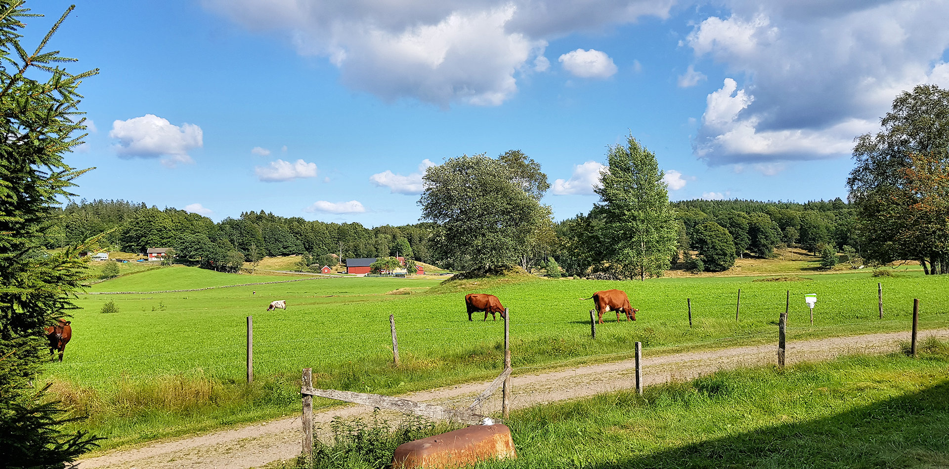 Weitblick in eine beeindruckende Tallandschaft.... LandschaftseindrĂĽcke