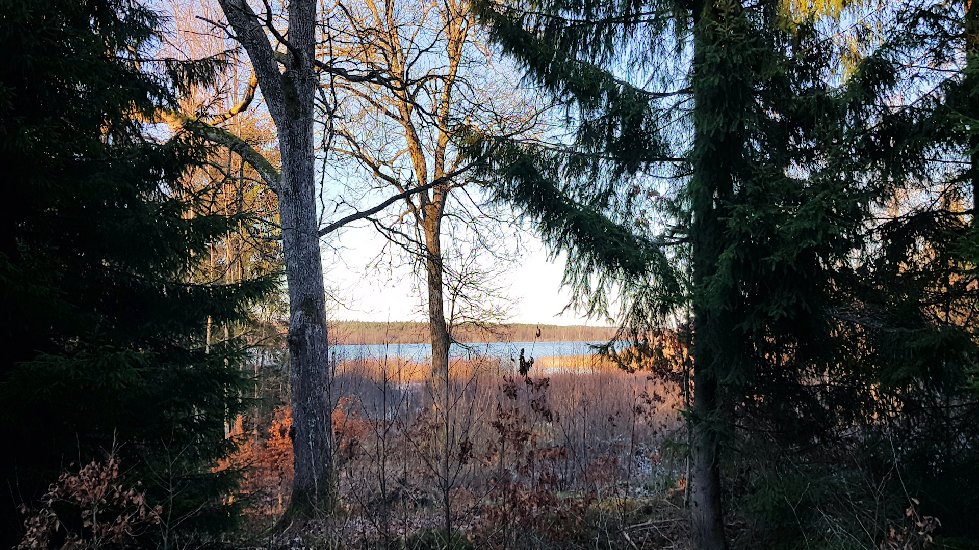 Vom Objekt aus ein schöner Seeblick, wenn man einige Bäume + Buschwerk in Richtung Wasser entfernen würde! Fagerhult 3