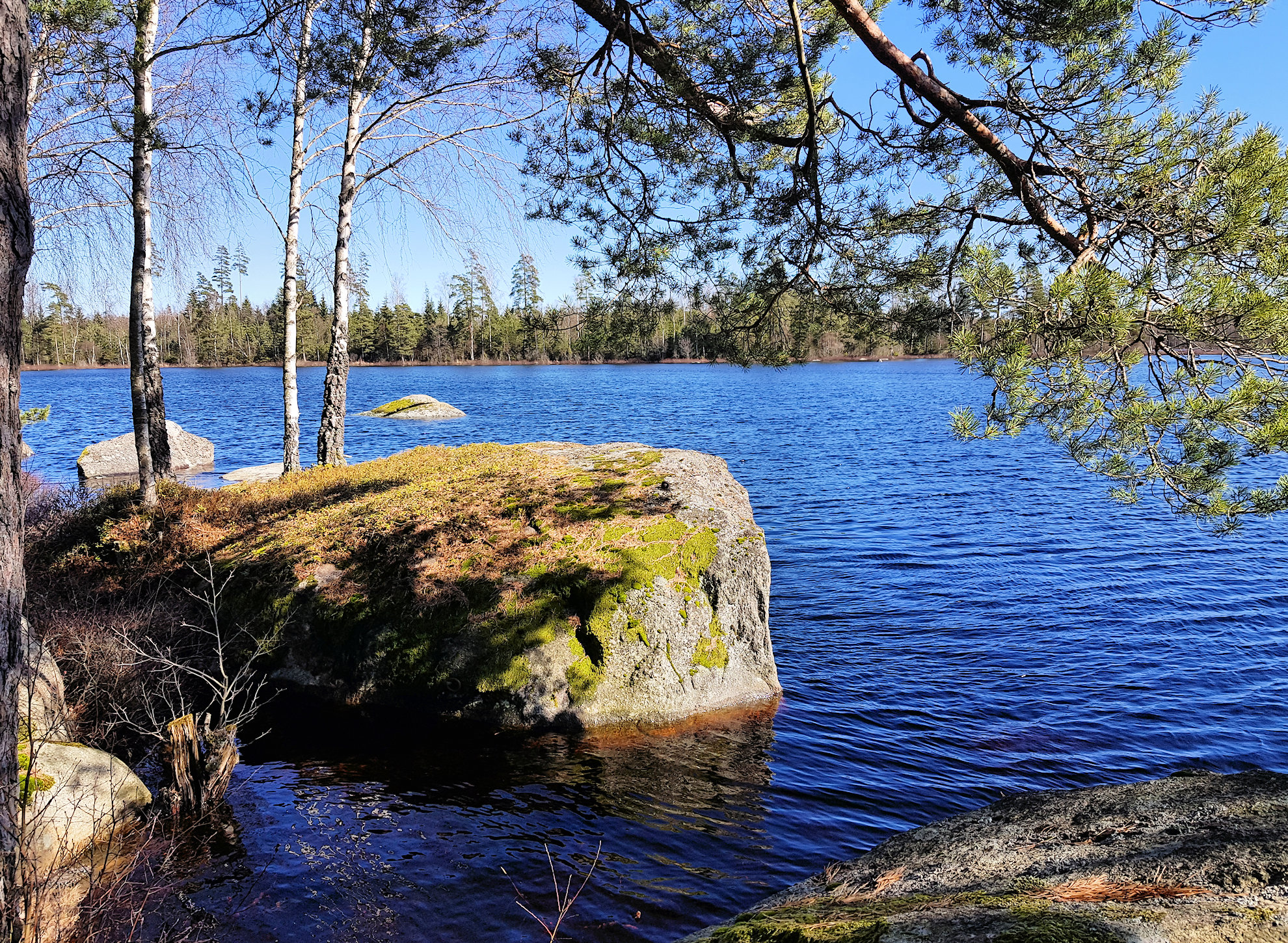 Das Immobilienangebot liegt in Seenähe. Zum nächsten Badesee, dem Älganässjö, fährt man nur ca. 5 Minuten mit dem Fahrrad
