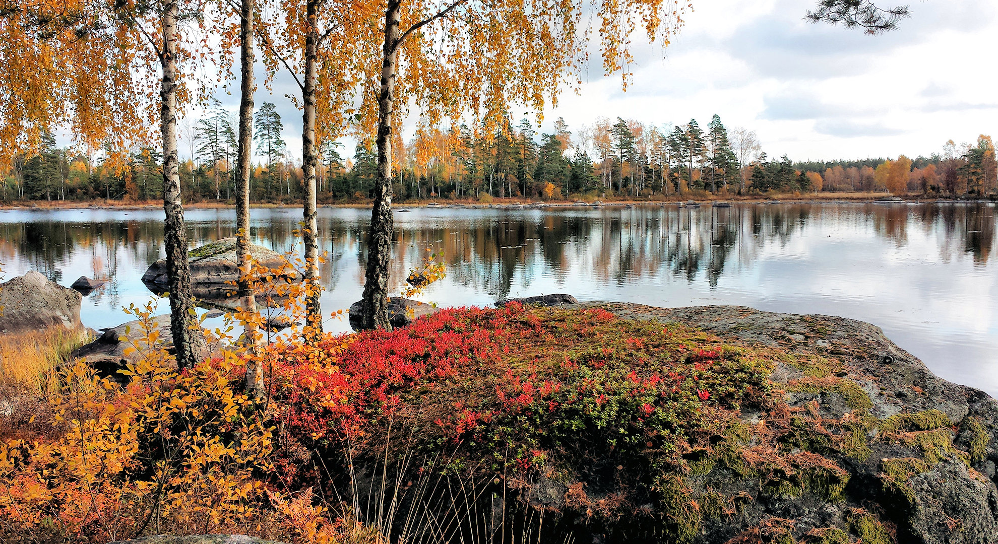 Und irgendwann steht wieder der Herbst mit seinen prächtigen Farben vor der Tür - besonders zu genießen am nahen See "Älganässjön"