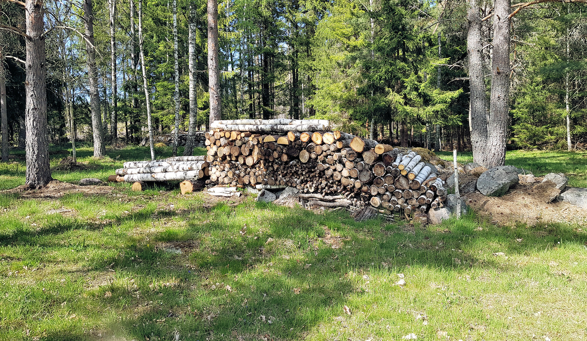 Das Grundstück bietet über Jahre Holz für die Feuerstellen im Haus....