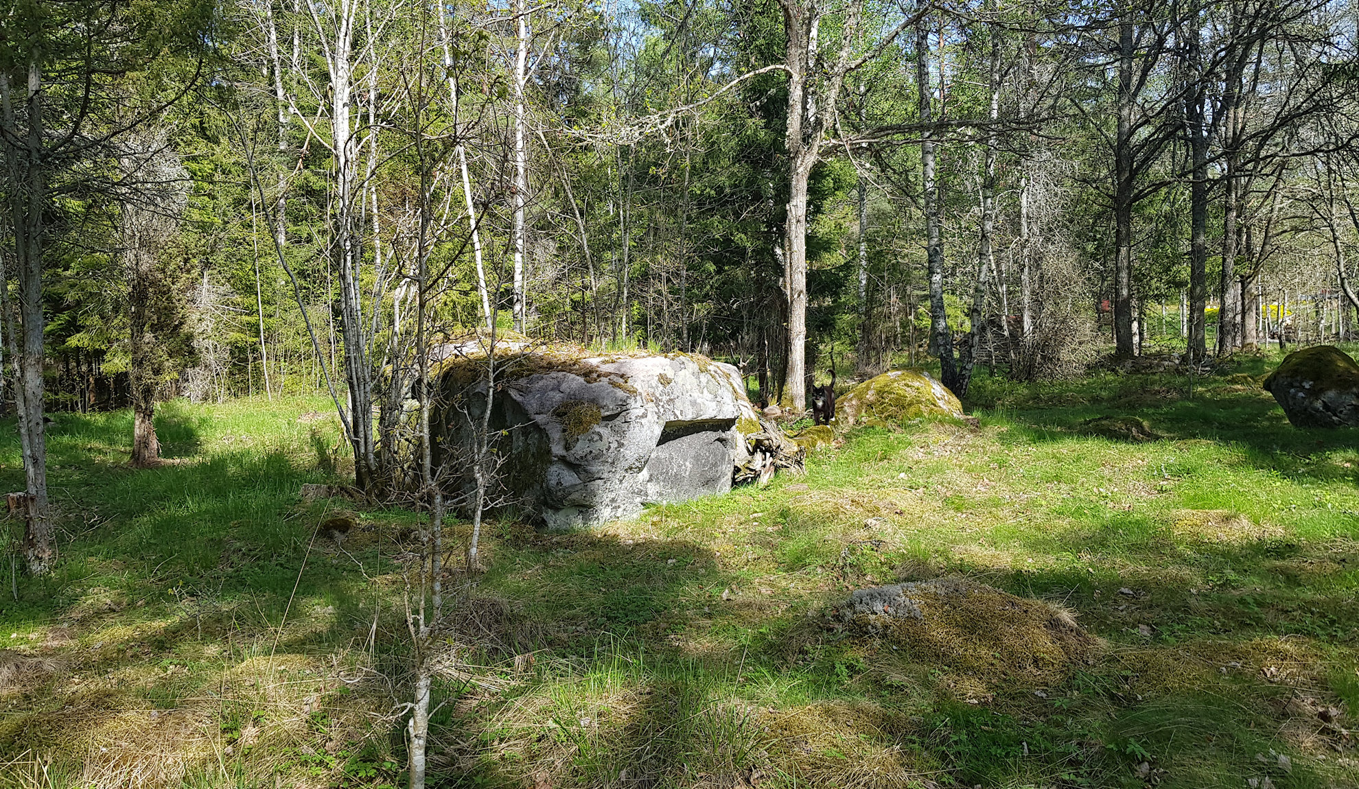 Felsen überall....