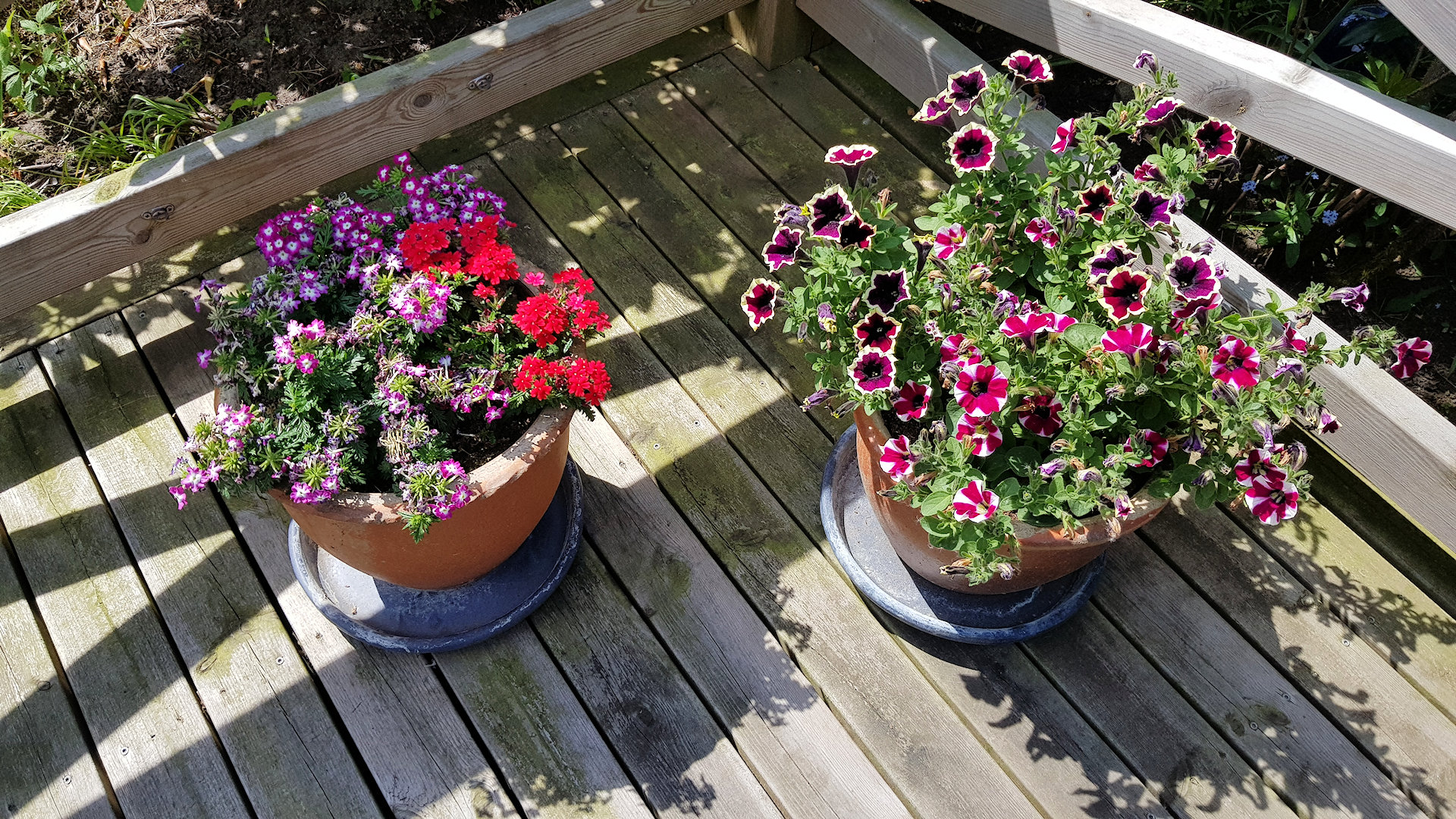 Bringt Farbe in Ihr Leben.... Halland 9