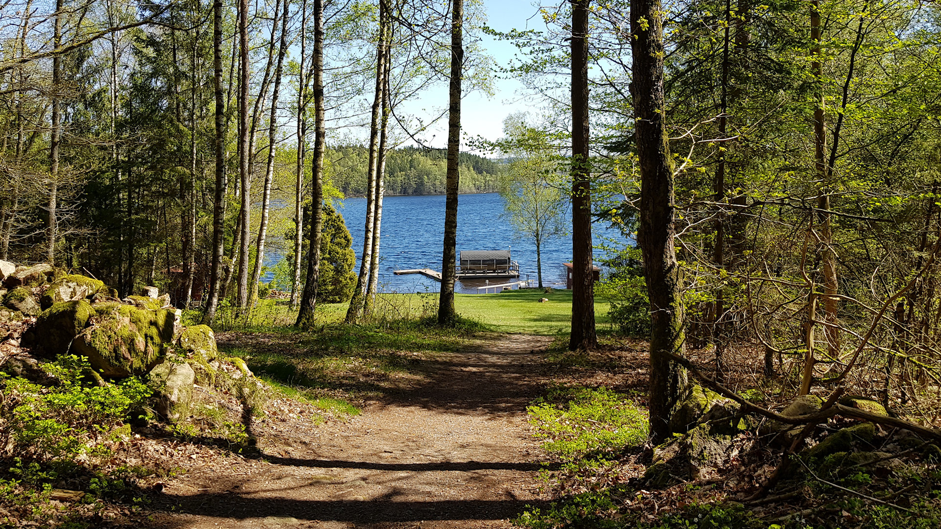 ....und erreichen, indem Sie diesem idyllischen Waldpfad folgen, das Seeufer mit Badestrand Halland 21