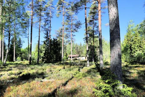 Schöne Waldlage mit Seenähe