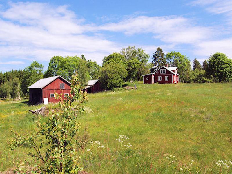Schweden Immobilien - Naturparadies „Freizeithof Revet“