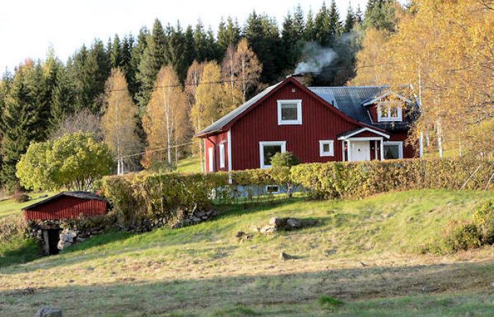 Schweden Immobilien - Waldareal mit Hofstelle