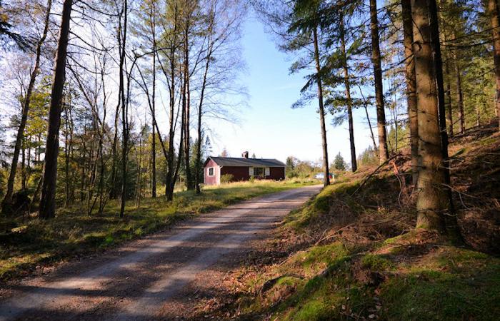 Schweden Immobilien - Hishult - gemütliches Ferienhaus in schön einsamer Lage im südlichsten Halland. Nahe  Kattegattküste