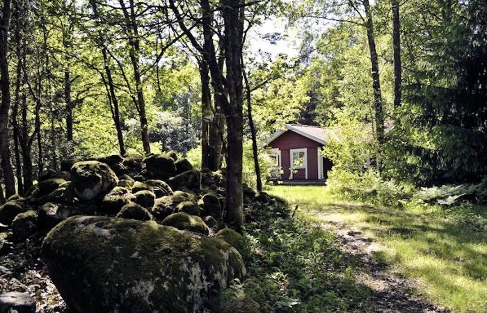 Schweden Immobilien - Järanäs - Ferienhaus mit den besten Empfehlungen vom See Bolmen. Seltene Immobiliengelegenheit!