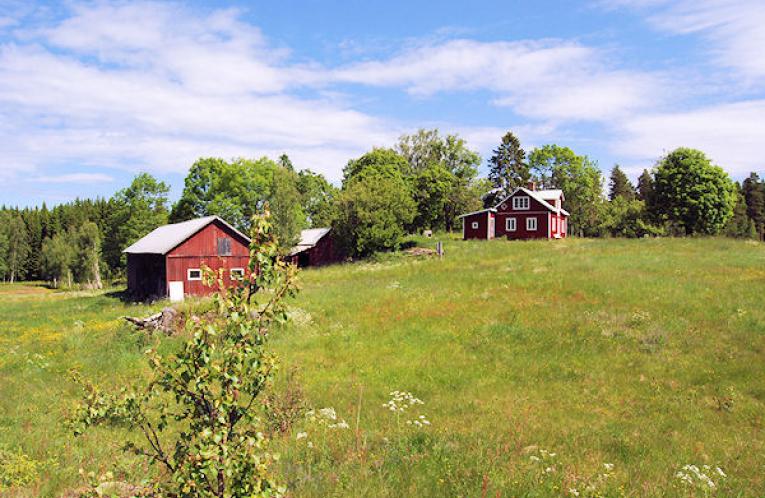 Schweden Immobilien - Naturparadies „Freizeithof Revet“ Schweden Immobilien - Naturparadies „Freizeithof Revet“
