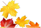 Herbst - Schweden Immobilien